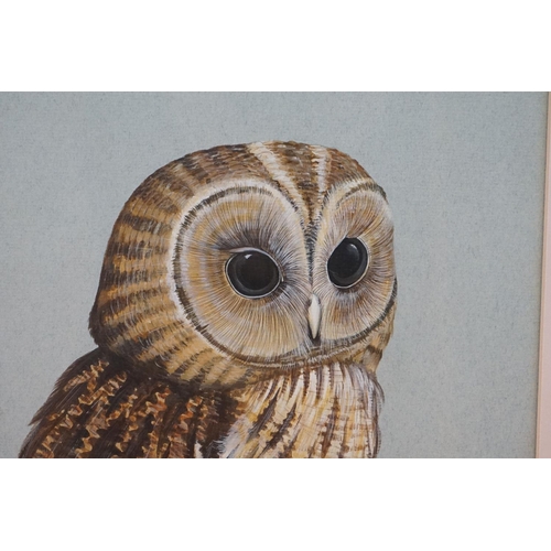 521 - Dick Twinney Watercolour of a Tawny Owl signed and dated 1974, 44cm x 31cm together with 19th centur... 