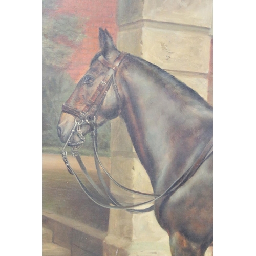 443 - A Bernard Sykes (19th / Early 20th century) Oil on Canvas of a Tacked Up Bay Horse titled to mount '... 