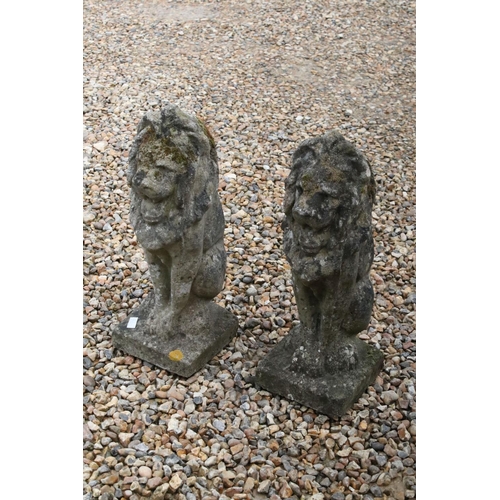 532 - Pair of Reconstituted Stone Garden Lions, 58cm high