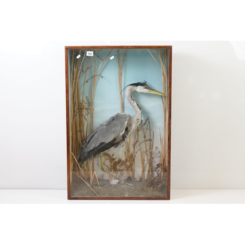 164 - Taxidermy - Standing Heron mounted amongst natural foliage, contained in a glass fronted display cab... 