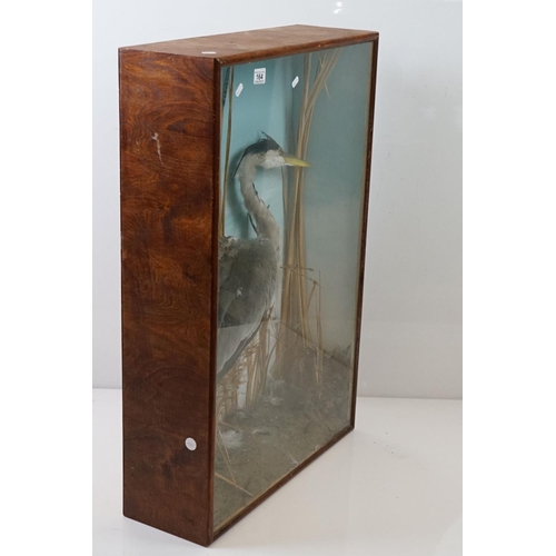 164 - Taxidermy - Standing Heron mounted amongst natural foliage, contained in a glass fronted display cab... 