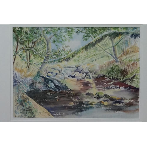 481 - Marion Farrell (Guild of Wiltshire Artists) Watercolour of a Stream, 27cm x 36cm, framed and glazed ... 