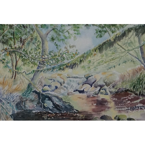 481 - Marion Farrell (Guild of Wiltshire Artists) Watercolour of a Stream, 27cm x 36cm, framed and glazed ... 