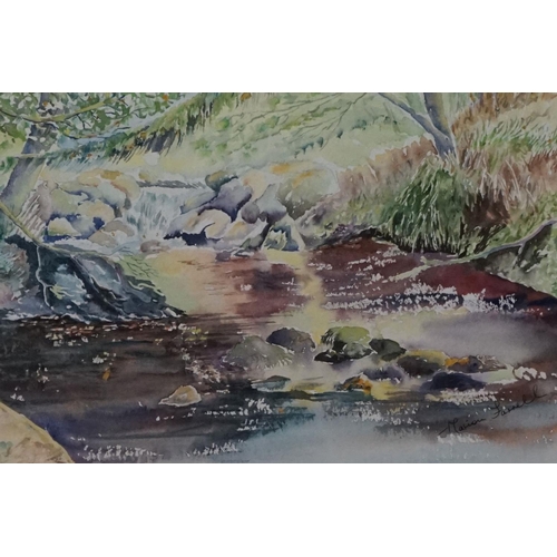 481 - Marion Farrell (Guild of Wiltshire Artists) Watercolour of a Stream, 27cm x 36cm, framed and glazed ... 