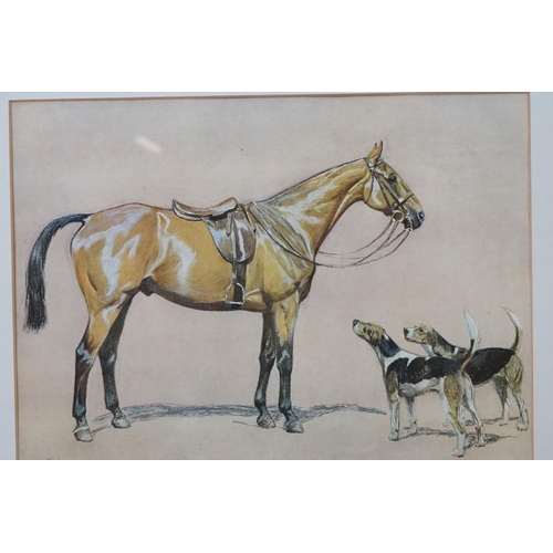 497 - Two Cecil Aldin Horse Prints including a Man showing a Shire Horse and a Hunter with Two Hounds, eac... 