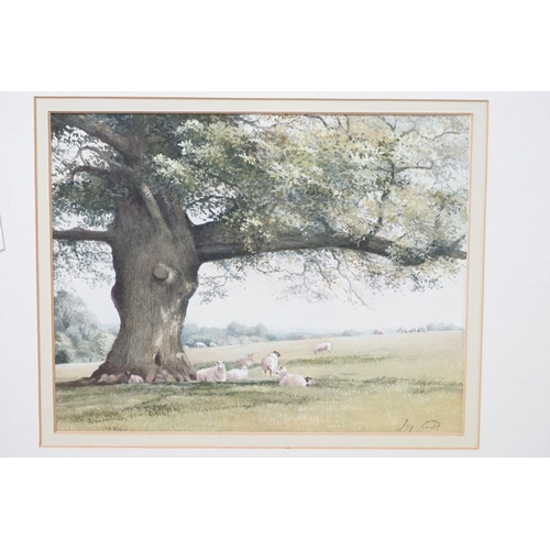 499 - Joy Codd (20th century Herfordshire), Seven Watercolours including Bluebells in a Wood Landscape, 33... 