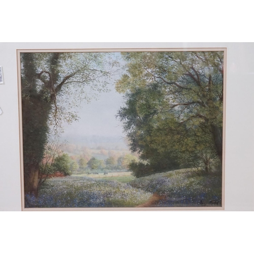 499 - Joy Codd (20th century Herfordshire), Seven Watercolours including Bluebells in a Wood Landscape, 33... 