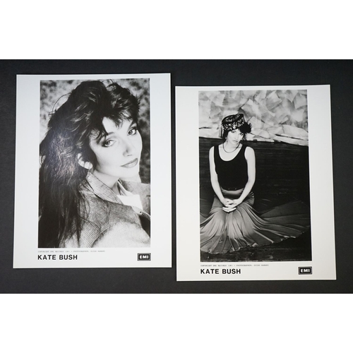 63 - Vinyl - Kate Bush Hounds Of Love original UK press pack with gatefold outer folder/sleeve with pink ... 