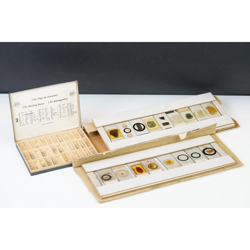 218 - A collection of early 20th century glass microscope slides.