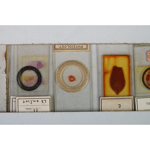 218 - A collection of early 20th century glass microscope slides.