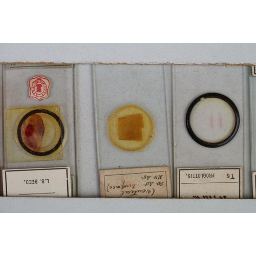 218 - A collection of early 20th century glass microscope slides.