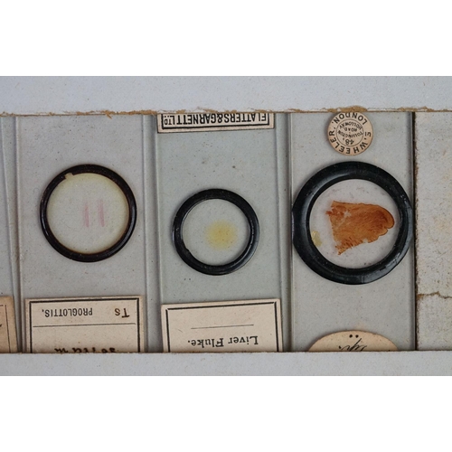 218 - A collection of early 20th century glass microscope slides.