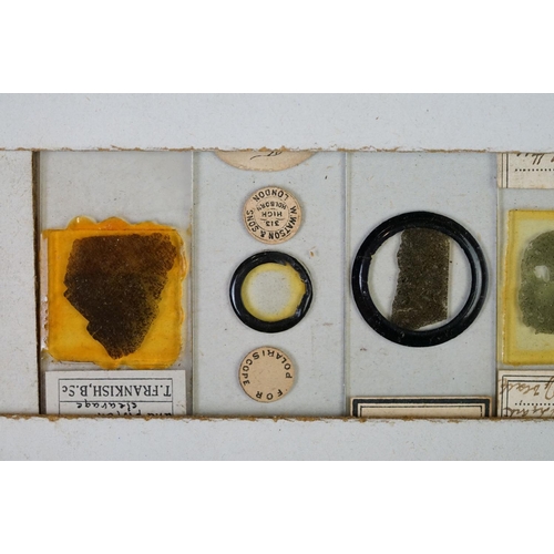 218 - A collection of early 20th century glass microscope slides.