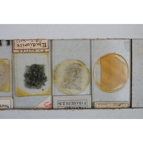 218 - A collection of early 20th century glass microscope slides.