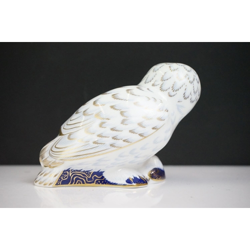 28 - Four Royal Crown Derby paperweights to include Polar Bear, Polar Bear Cub Standing, Snowy Owl (Colle... 