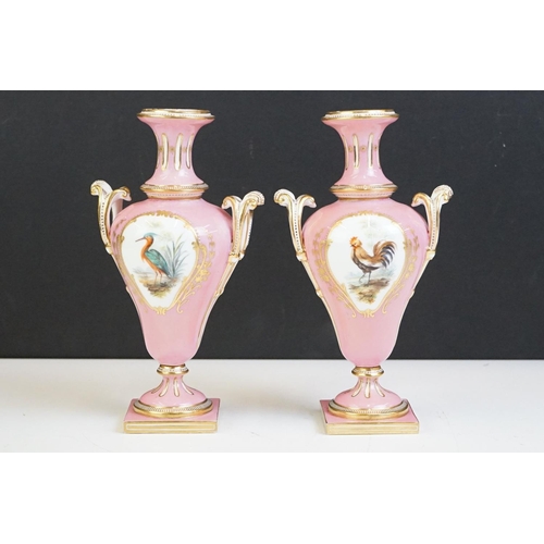 51 - Pair of 19th century Porcelain Urns, hand painted with panels of birds against a pink ground with gi... 