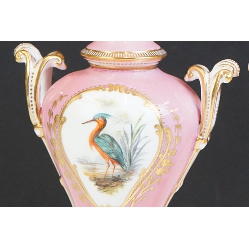 51 - Pair of 19th century Porcelain Urns, hand painted with panels of birds against a pink ground with gi... 