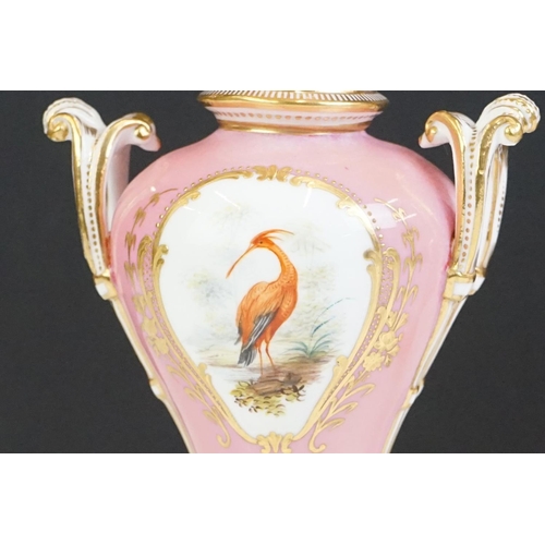 51 - Pair of 19th century Porcelain Urns, hand painted with panels of birds against a pink ground with gi... 