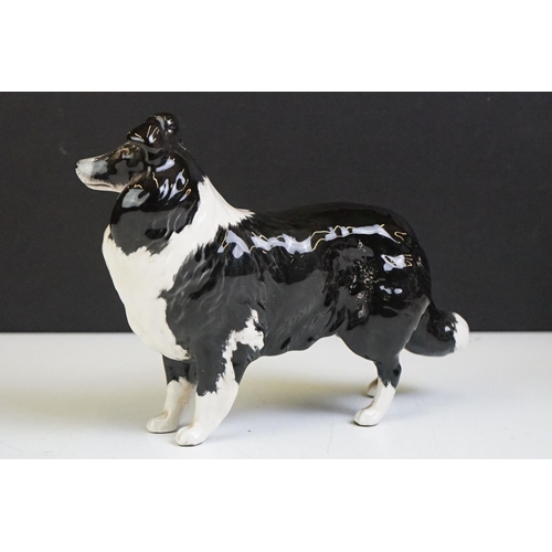 65 - Beswick - A Beswick Piebald Shire Mare with harness (appears overpainted, 21.5cm high), together wit... 