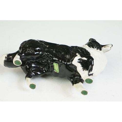 65 - Beswick - A Beswick Piebald Shire Mare with harness (appears overpainted, 21.5cm high), together wit... 