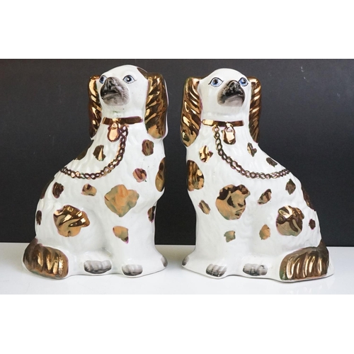 77 - Pair of Staffordshire pottery Spaniels with gilt markings (24.5cm high), together with 2 x Spode Blu... 