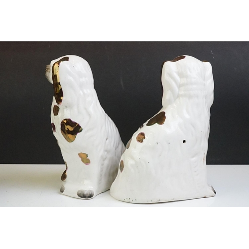 77 - Pair of Staffordshire pottery Spaniels with gilt markings (24.5cm high), together with 2 x Spode Blu... 