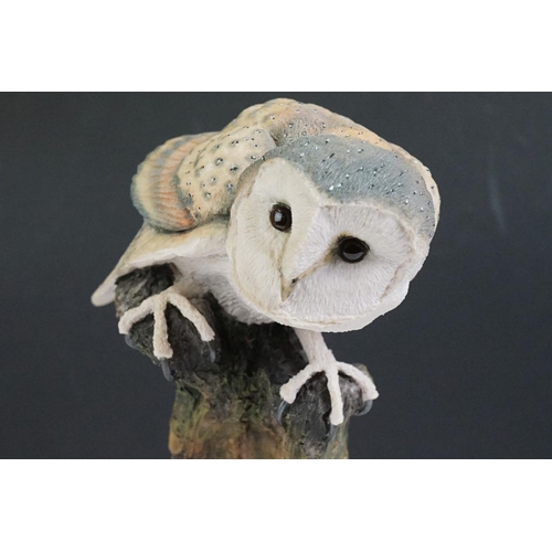 85 - The Arden Sculptures Collection Barn Owl resin sculpture, boxed (model no. 203), together with a cer... 