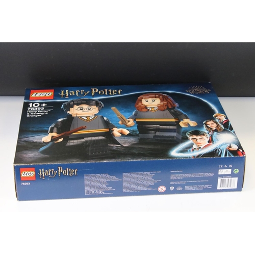 261 - Lego - Boxed Harry Potter 76393 Harry Potter & Hermione Granger set, sealed & excellent