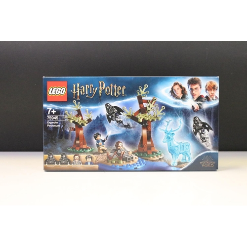 310 - Lego - Five boxed Harry Potter Wizarding World sets to include 40577, 40452, 75945, 76386 & 76400, a... 