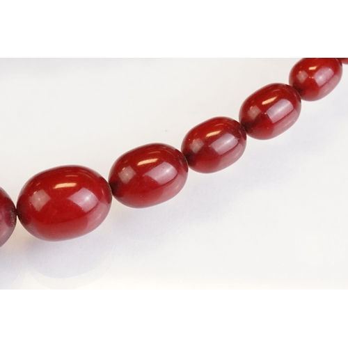 73 - Cherry Bakelite amber graduated bead necklace, comprising fifty-six beads, the largest bead measurin... 