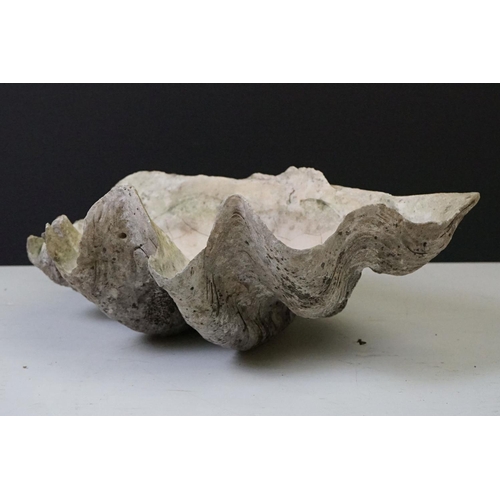 170 - Pair of South Pacific large giant clam shells ( Tridacna Gigas )measuring 56cm across