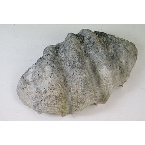 170 - Pair of South Pacific large giant clam shells ( Tridacna Gigas )measuring 56cm across