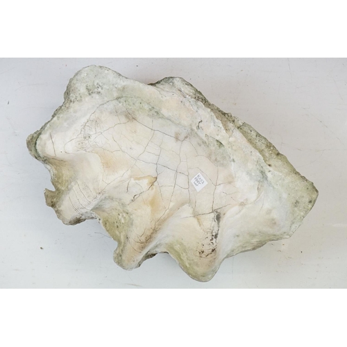 170 - Pair of South Pacific large giant clam shells ( Tridacna Gigas )measuring 56cm across