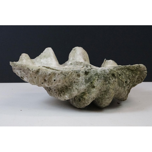 170 - Pair of South Pacific large giant clam shells ( Tridacna Gigas )measuring 56cm across