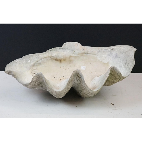 170 - Pair of South Pacific large giant clam shells ( Tridacna Gigas )measuring 56cm across