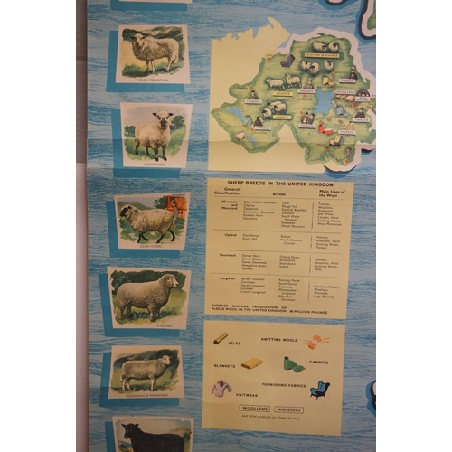 419 - 'Wool in the United Kingdom' rolled poster, wooden support bars and ties, 139 x 91cm and a 'Geograph... 