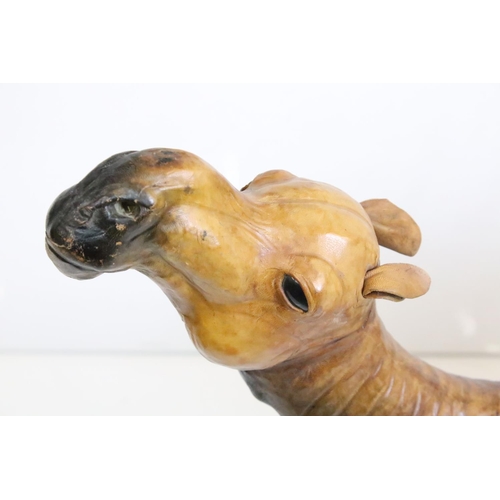 155 - Large leather dromedary (one-humped) camel with glass eyes. Measures 65cm x 71cm long.