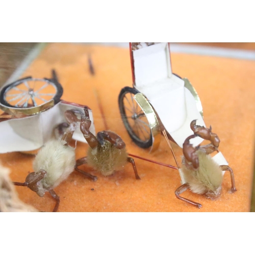 260 - A collection of Chinese taxidermy bug / insect dioramas within glass display cases.