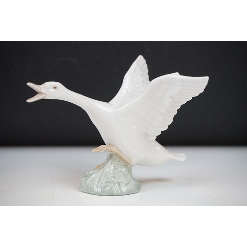 26 - Four Lladro porcelain figures to include 6175 White Swan, 1265 Duck Jumping and two standing geese