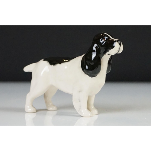 52 - Eight Beswick porcelain dog figures to include Laughing Yorkshire Terrier (2102), German Shephard, D... 