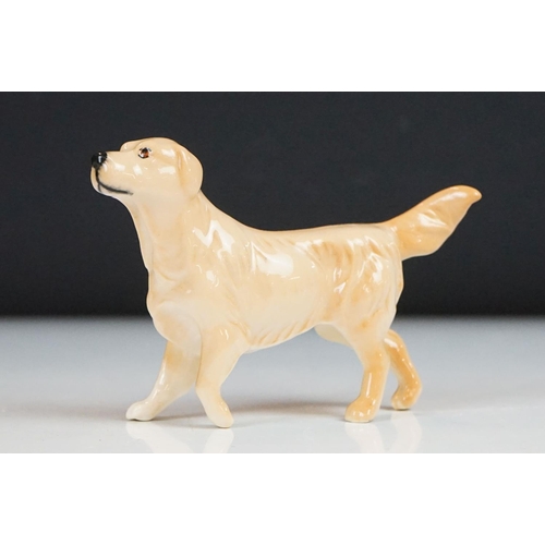 52 - Eight Beswick porcelain dog figures to include Laughing Yorkshire Terrier (2102), German Shephard, D... 