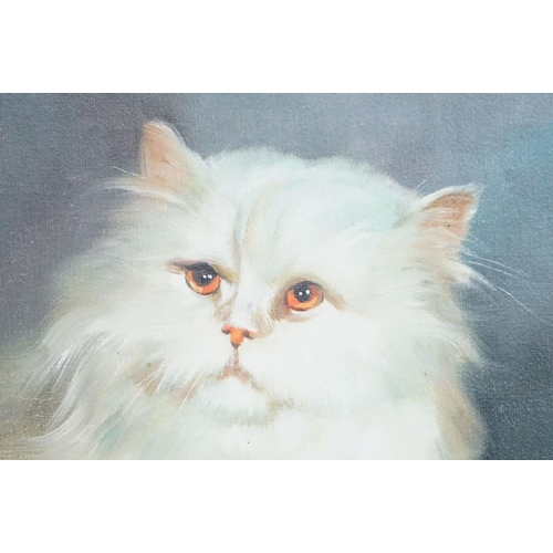 391 - Study of a cat, oil on board, indistinctly signed lower right, 24 x 19cm, framed