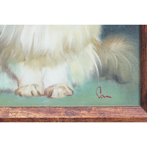 391 - Study of a cat, oil on board, indistinctly signed lower right, 24 x 19cm, framed