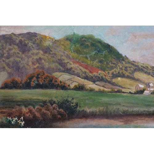 433 - Victorian Oil Painting on Canvas of Houses and a Lake in a Hilly Landscape, signed lower right Thor ... 