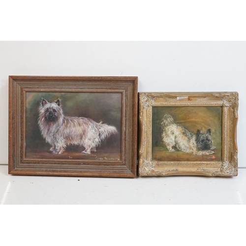 437 - Carolyn Alexander (b.1948) Two Oil Paintings on Board of Terrier Dogs, one named Ivy, both signed an... 