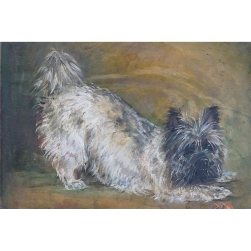 437 - Carolyn Alexander (b.1948) Two Oil Paintings on Board of Terrier Dogs, one named Ivy, both signed an... 