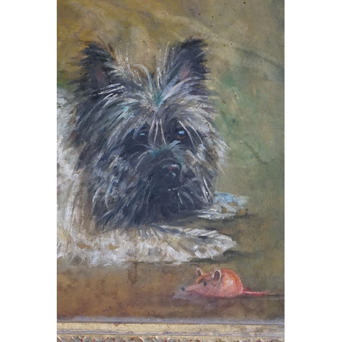 437 - Carolyn Alexander (b.1948) Two Oil Paintings on Board of Terrier Dogs, one named Ivy, both signed an... 