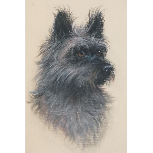 438 - Carolyn Alexander (b.1948) Two Pastels of Dogs, the largest titled Rags and dated 1968, 41cm x 35cm,... 