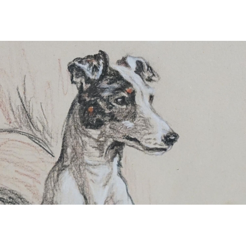 438 - Carolyn Alexander (b.1948) Two Pastels of Dogs, the largest titled Rags and dated 1968, 41cm x 35cm,... 