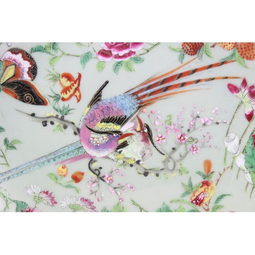 15 - 19th Century Chinese famille rose plate being hand decorated with birds of paradise to the centre su... 